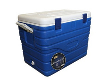 138192 6230 ���.jpg