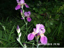 50 ���. �������