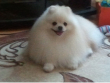 2014-06-07 19.24.27.jpg