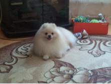 2014-06-07 19.24.02.jpg