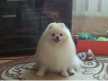 2014-06-07 19.22.54.jpg