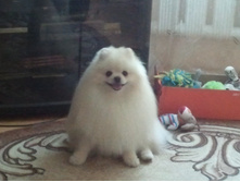 2014-06-07 19.22.42.jpg