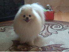 2014-06-07 19.22.10.jpg