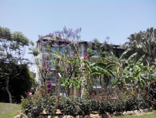 2014-05-31 12-55-40.JPG