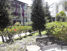 2014-05-31 12-56-56.JPG