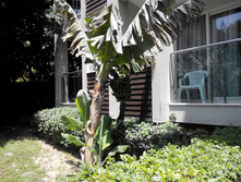 2014-05-31 12-57-23.JPG