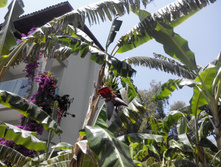 2014-05-31 12-57-50.JPG