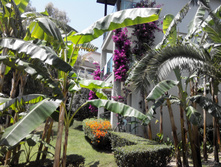 2014-05-31 12-58-20.JPG