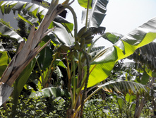 2014-05-31 12-58-29.JPG