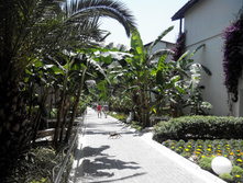 2014-05-31 12-59-11.JPG