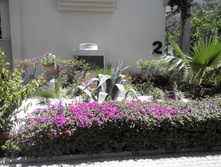 2014-05-31 12-59-51.JPG