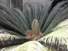 2014-05-31 13-00-18.JPG