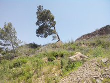 2014-05-31 13-08-43.JPG