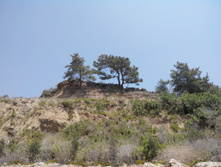 2014-05-31 13-11-30 (2).JPG