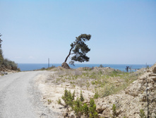 2014-05-31 13-19-54.JPG