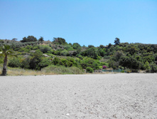 2014-05-31 13-31-55.JPG