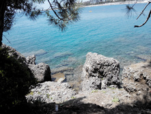 2014-05-31 13-39-10.JPG