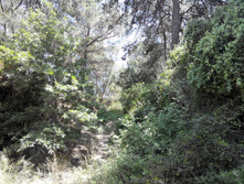 2014-05-31 13-40-01.JPG