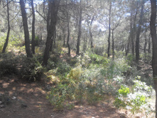 2014-05-31 13-42-26.JPG