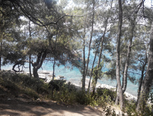 2014-05-31 13-42-51.JPG