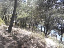 2014-05-31 13-43-08.JPG