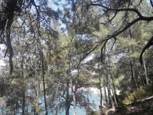 2014-05-31 13-43-46.JPG