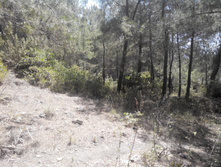 2014-05-31 13-44-03.JPG