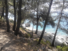 2014-05-31 13-44-07.JPG