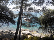 2014-05-31 13-44-17.JPG