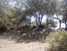 2014-05-31 13-46-25.JPG