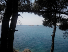 2014-05-31 13-48-37 (2).JPG