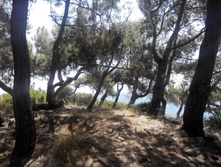 2014-05-31 13-50-31.JPG