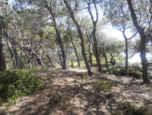 2014-05-31 13-50-36.JPG