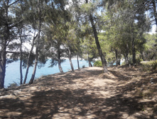 2014-05-31 13-50-45.JPG