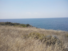 2014-05-31 13-51-06.JPG