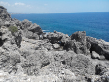 2014-05-31 13-52-27.JPG