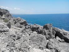 2014-05-31 13-53-05.JPG