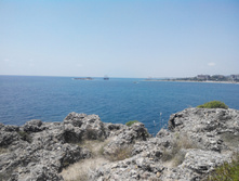 2014-05-31 13-54-37.JPG