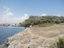 2014-05-31 13-55-34.JPG