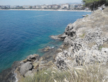 2014-05-31 13-55-51.JPG