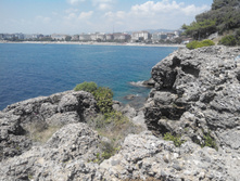 2014-05-31 13-58-55.JPG