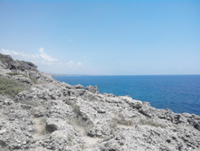 2014-05-31 13-59-17.JPG