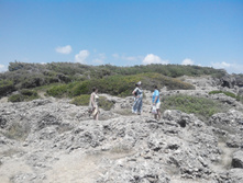 2014-05-31 13-59-52.JPG