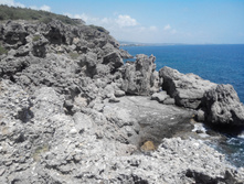 2014-05-31 14-00-59.JPG