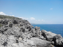 2014-05-31 14-01-02.JPG