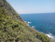 2014-05-31 14-08-56.JPG