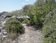 2014-05-31 14-09-12.JPG