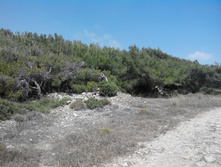 2014-05-31 14-09-36.JPG