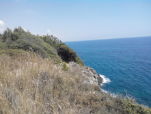 2014-05-31 14-10-50.JPG