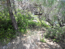 2014-05-31 14-13-18.JPG